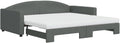 Sofa, pokgdf, 100 x 200 cm, 2 W, Szary, lite drewno, 2 w 1